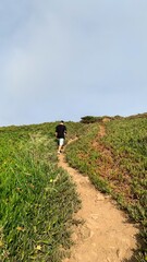A solitary Hispanic male ascends a rugged hillside path enveloped in verdant serenity, evoking Earth Day tranquility and mindful hiking