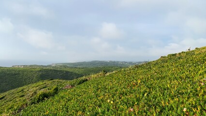 Verdant hills cascade into the horizon, whispering tales of Beltane reverie and Earth Days silent green embrace