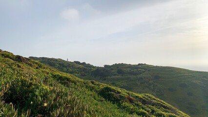 Lush emerald hills bask under soft daylight, invoking Earth Day serenity and secret solstice rituals amid whispering wildflowers
