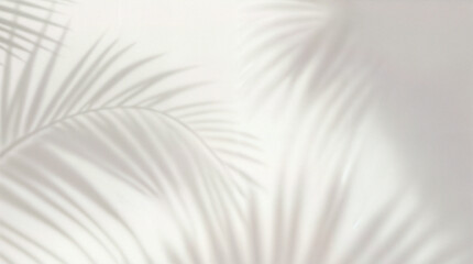 Minimal abstract light gray background for product presentation. Soft shadow and light from windows on white wall.