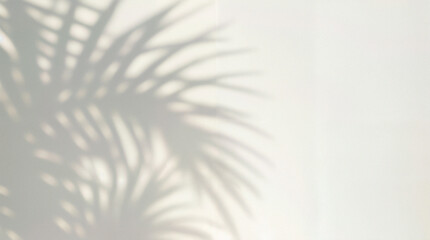 Minimal abstract light gray background for product presentation. Soft shadow and light from windows on white wall.