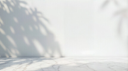Minimal abstract light gray background for product presentation. Soft shadow and light from windows on white wall.