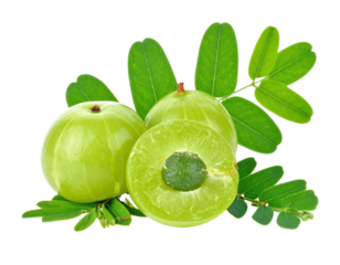 Vibrant Green Amla Fruits and Leafy Sprigs Isolated on Transparent Background Displaying Natural Details
