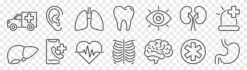 Human organs vector line icon. Medicine and health care icon.