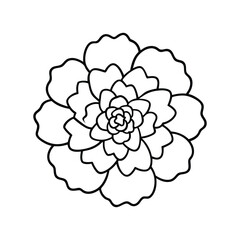 vector illustration of a flower