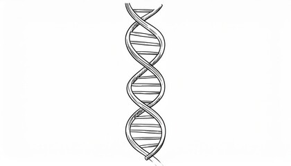 Detailed Dna Double Helix Illustration