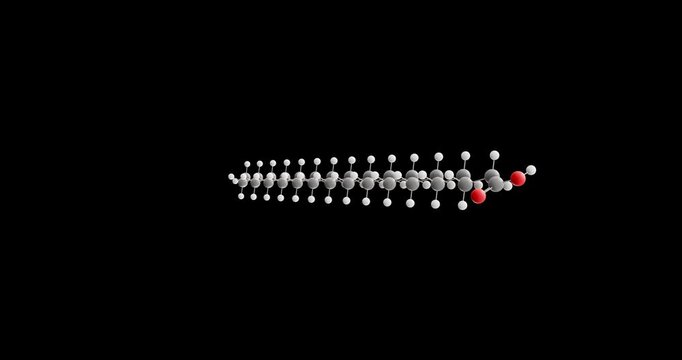Montanic acid molecule, rotating 3D model of e912, looped video on a black background

