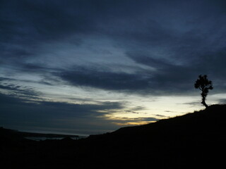 Obraz premium silhouette of a tree on a mountain top