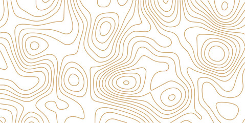 Fototapeta premium Abstract topo contour map on white background, Topographic map Topographic contour lines map seamless pattern. Geographic mountain relief diagram line wave carve pattern