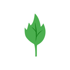 green leaf vector design