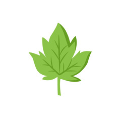 green leaf vector design