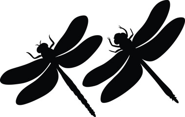 Dragonfly silhouette. Glyph icon of insect, simple shape of damselfly. Black vector illustration on white.