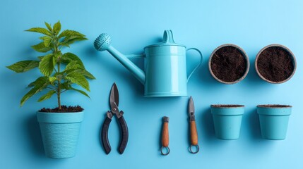 Gardening tools and seedlings on a vibrant blue background.  Small plants in pots, watering can, and gardening tools