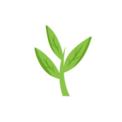 green leaf vector design