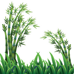 Bamboo Plant with Green Leaves