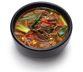 Spicy beef and vegetable soup, a traditional Korean dish