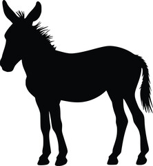 Obraz premium Young Donkey Silhouette: Elegant, Strong, Farm Animal Profile