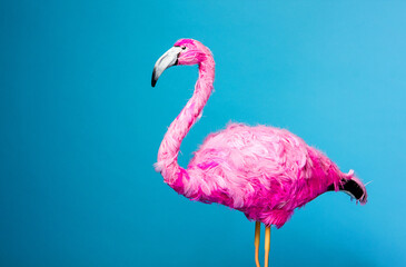 ceramic pink flamingo on the blue wall background . graphic resource, isolated, free space