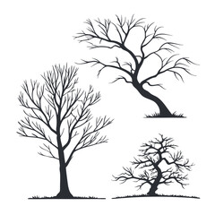 -set-of-bare-tree-silhouettes---clean-black-vector eps