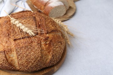 Freshly baked bread with sesame seeds and spikes on light grey table, closeup. Space for text
