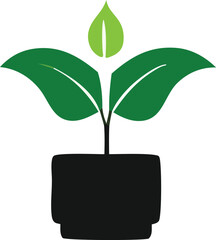 A stylized green seedling with two large leaves and a central sprout emerges from a simple black planter pot against a white background
