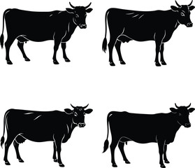 cow silhouettes vector illustration Cow silhouette, vector, icon set. Farm animals vector collection. Black cow silhouette on white background