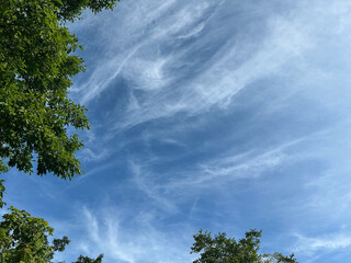 Cirrus clouds are high, cold clouds composed of asymmetric ice particles.
