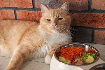 Cat with bowl full of raw natural products indoors. Pet's balanced diet
