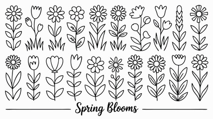 Fototapeta premium Black and White Doodle Style Spring Blooms HandDrawn Daisies and Tulips Illustration