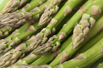 Many fresh raw asparagus spears as background, top view