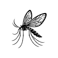 Detailed Black Mosquito Silhouette Vector Illustration with Long Legs and Patterned Wings Perfect for Science Biology Entomology and Mosquito Awareness Campaign Designs
