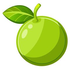 Lime slice
 white background