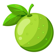 Lime slice
 white background