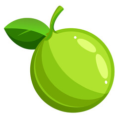 Lime slice
 white background
