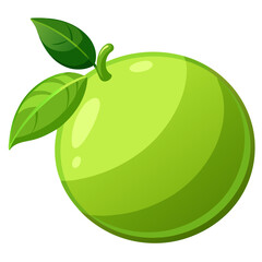 Lime slice
 white background