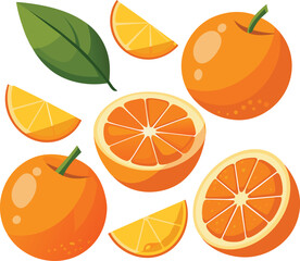 Orange fruit background vector illustration