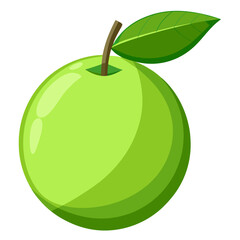 Guava  white background