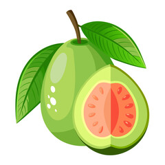 Guava  white background