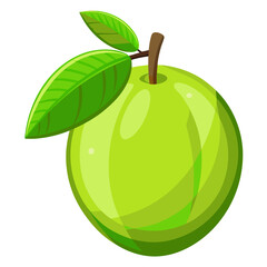 Guava  white background