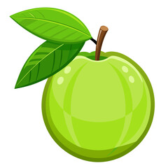 Guava  white background