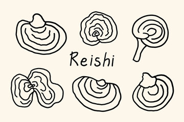 Set with Polypore varnished (Lingzhi ) Reishi mushrooms sketch on isolated background. Medical woody Chinese natural ingredient for alternative medicine, tea, cosmetics, spa. Design for logo, sign