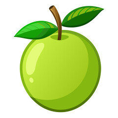 Guava  white background