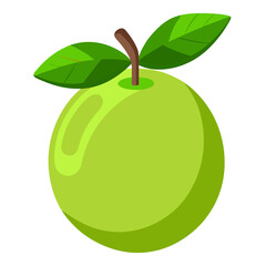 Guava  white background