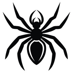 spider on a white background