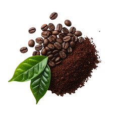Freshly roasted coffee beans and ground coffee with green coffee leaves