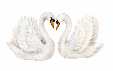 Romantic watercolor swans illustration with heart-shaped pose. Perfect for wedding decor, Valentine Day cards, love themes, and elegant print design