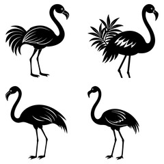 Four flamingo silhouettes isolated on white background in various positions