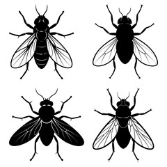 Four silhouette flies isolated on white background in graphic style © Love