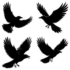 Fototapeta premium Four raven silhouettes in flight isolated on white background