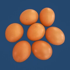 Many isolated chicken eggs